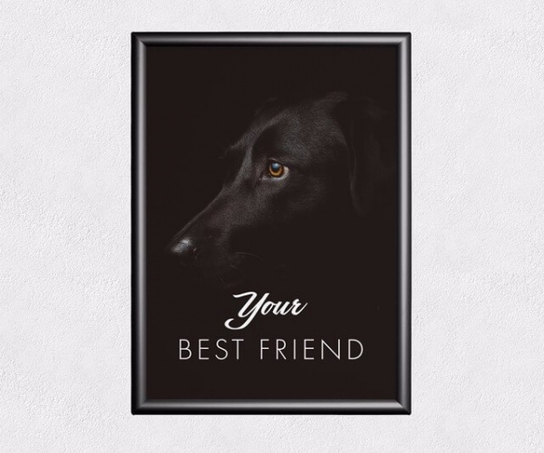 Artículo sin título